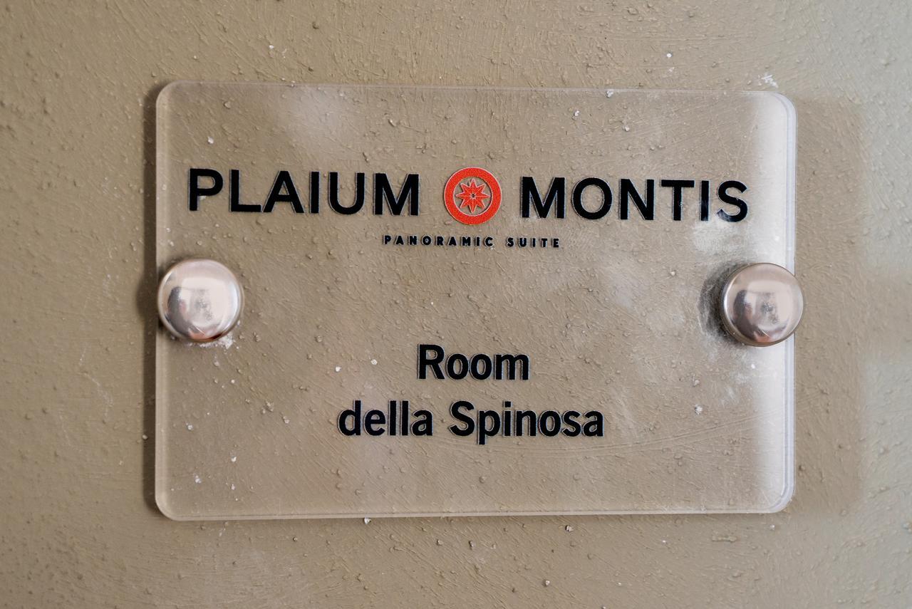 Plaium Montis Bed and Breakfast Salerno Esterno foto